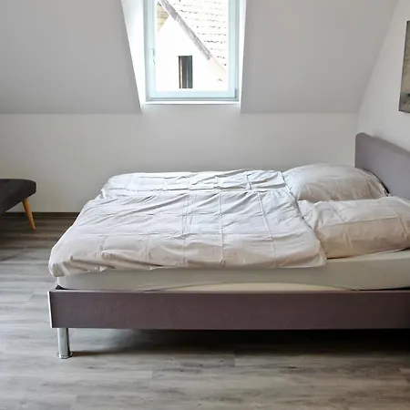 Dom-i-ziel * St. Blasien