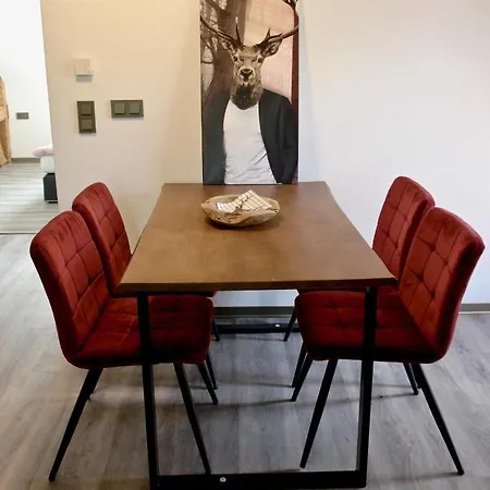 Dom-i-ziel Apartamento St. Blasien